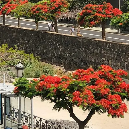 San Sebastian 65 Διαμέρισμα *